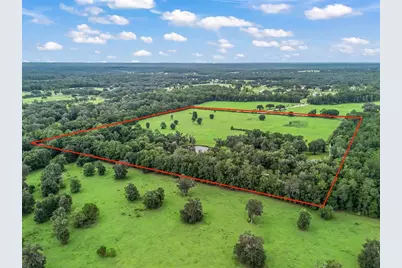12651 W Highway 318, Williston, FL 32696 - Photo 50