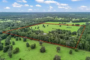 12651 W Hwy 318, Williston, FL 32696 - Photo 50