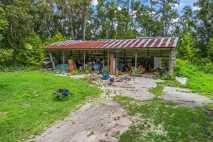 12651 W Hwy 318, Williston, FL 32696 - Photo 46