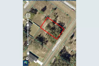 Guava Lane Course, Ocklawaha, FL 32179 - Photo 4