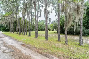 13668 NE 226th Ave Rd, Fort Mc Coy, FL 32134 - Photo 28