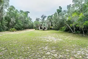 13668 NE 226th Ave Rd, Fort Mc Coy, FL 32134 - Photo 24