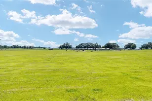 1427 NW 102nd Blvd, Wildwood, FL 34785 - Photo 92