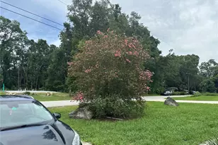 13678 SE 55th Ave, Summerfield, FL 34491 - Photo 8