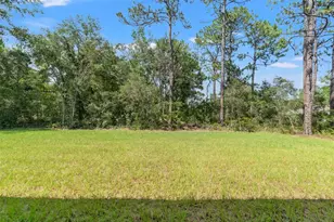 3015 W Juliet Pl, Citrus Springs, FL 34433 - Photo 46