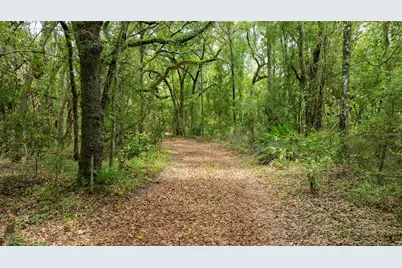 14551 NW 83rd Terrace, Trenton, FL 32693 - Photo 12