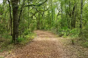 14551 NW 83rd Terrace, Trenton, FL 32693 - Photo 12