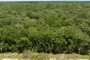 14551 NW 83rd Terrace, Trenton, FL 32693 - Photo 36