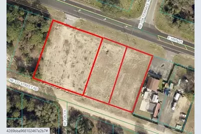 Tbd E Hwy 25, Belleview, FL 34420 - Photo 1