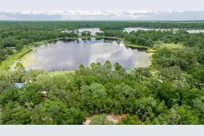 Tbd NE 224th Place, Fort Mc Coy, FL 32134 - Photo 4