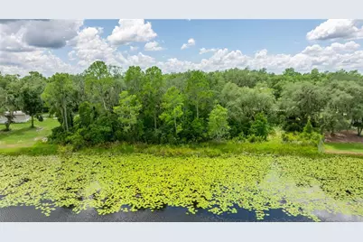 Tbd NE 224th Place, Fort Mc Coy, FL 32134 - Photo 8