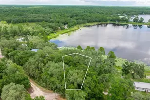 Tbd NE 224th Pl, Fort Mc Coy, FL 32134 - Photo 1