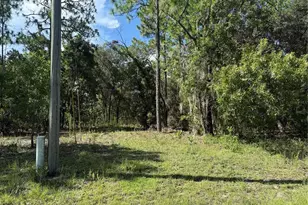 2174 W Tacoma Dr, Citrus Springs, FL 34434 - Photo 1