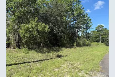 2174 W Tacoma Drive, Citrus Springs, FL 34434 - Photo 2