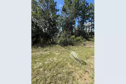 2190 W Tacoma Drive, Citrus Springs, FL 34434 - Photo 4