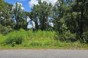 234 Oak Ln Wy, Ocala, FL 34472 - Photo 1