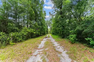 7708 SW 122nd St, Gainesville, FL 32608 - Photo 6