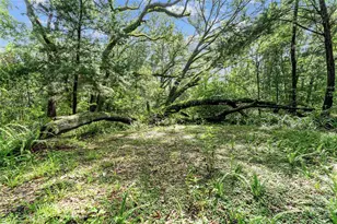 7708 SW 122nd St, Gainesville, FL 32608 - Photo 30