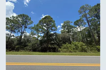 Fisher Rd, Ocklawaha, FL 32179 - Photo 2