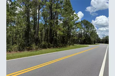 Fisher Rd, Ocklawaha, FL 32179 - Photo 4