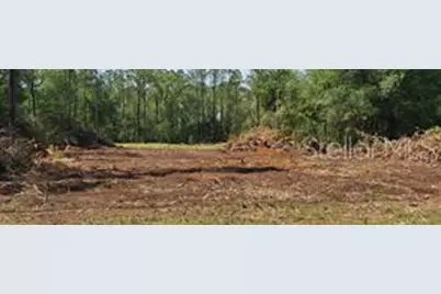 Bahia Terrace Dr, Ocala, FL 34472 - Photo 10