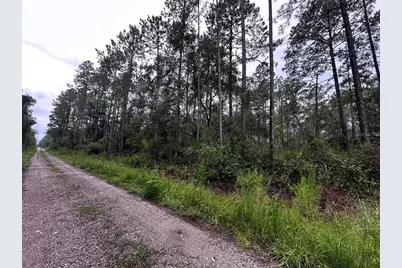 Ne 66th Ave, Citra, FL 32113 - Photo 6