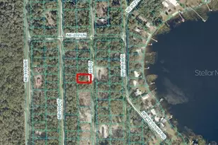NE 111 Ct, Fort Mc Coy, FL 32134 - Photo 1