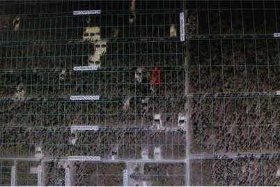 0 NW Banyon Lane, Dunnellon, FL 34431 - Photo 2