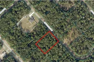Tba SW 55 Ct Rd, Ocala, FL 34473 - Photo 1