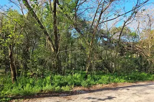 10160 SE 49th Ct, Belleview, FL 34420 - Photo 4