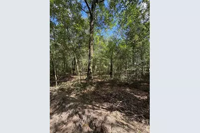 0 NW 14 Street, Ocala, FL 34482 - Photo 1