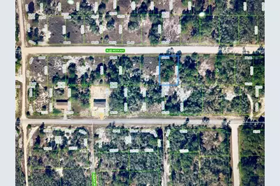 329 Blue Moon Avenue, Lake Placid, FL 33852 - Photo 1