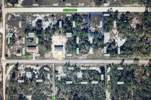 325 Blue Moon Ave, Lake Placid, FL 33852 - Photo 1