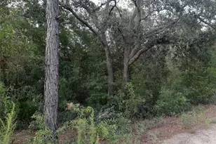 Tbd NE 87th Pl, Bronson, FL 32621 - Photo 1