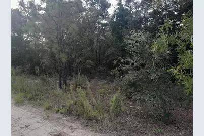 Tbd NE 87th Place, Bronson, FL 32621 - Photo 2