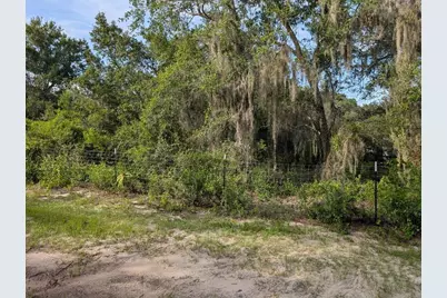 9747 NE 302nd Court, Salt Springs, FL 32134 - Photo 2