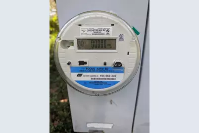 9747 NE 302nd Court, Salt Springs, FL 32134 - Photo 4