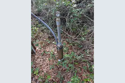 9747 NE 302nd Court, Salt Springs, FL 32134 - Photo 6