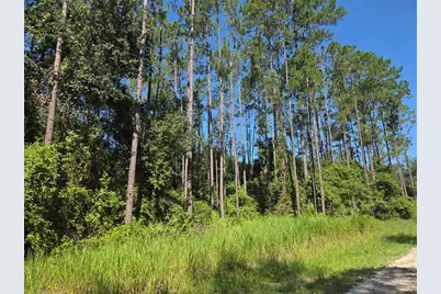 000 NE 130th Court Rd, Fort Mc Coy, FL 32134 - Photo 2