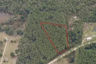 000 NE 130th Ct Rd, Fort Mc Coy, FL 32134 - Photo 1