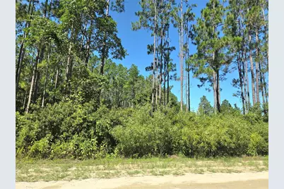 000 NE 130th Court Rd, Fort Mc Coy, FL 32134 - Photo 4