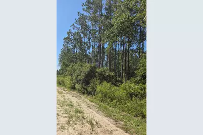 000 NE 130th Court Rd, Fort Mc Coy, FL 32134 - Photo 6