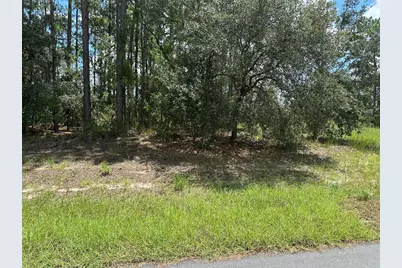 Tbd SW 60th Terrace, Ocala, FL 34471 - Photo 4