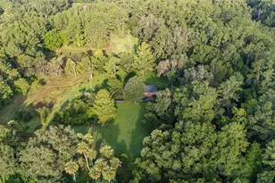 22157 NW 87th Avenue Rd, Micanopy, FL 32667 - Photo 86