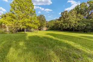 22157 NW 87th Avenue Rd, Micanopy, FL 32667 - Photo 44