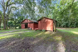 22157 NW 87th Avenue Rd, Micanopy, FL 32667 - Photo 62