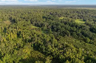 22157 NW 87th Avenue Rd, Micanopy, FL 32667 - Photo 88