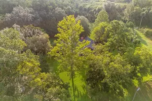 22157 NW 87th Avenue Rd, Micanopy, FL 32667 - Photo 80