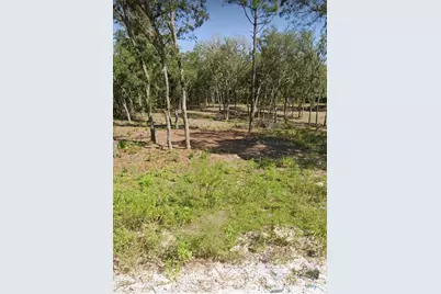 Tbd NE 82nd Place, Bronson, FL 32621 - Photo 16