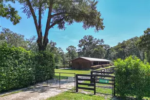 8901 NW 137th Ave, Morriston, FL 32668 - Photo 76